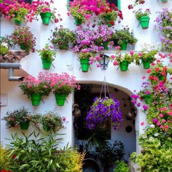 Offers are welcome 🌺 - Picture 9 of 12